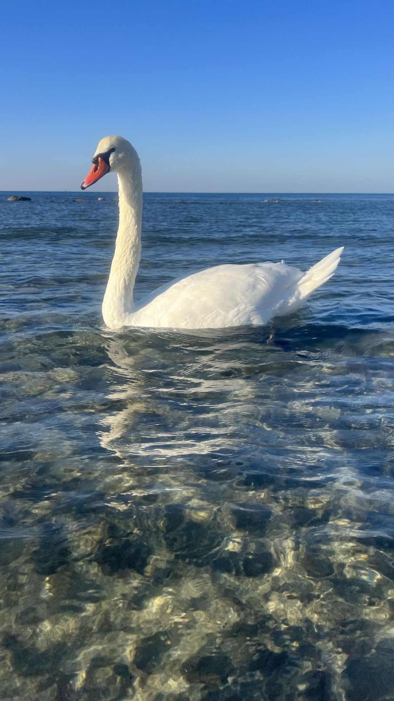 Dacci oggi il nostro mare quotidiano